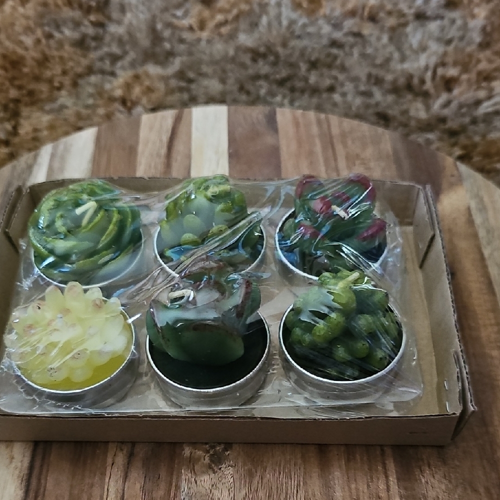 Set of 6 Succulent Tealight Candles